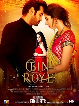 Bin Roe song download
